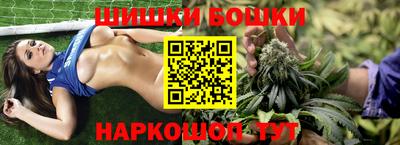 стаф Камышлов