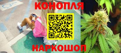 стаф Камышлов