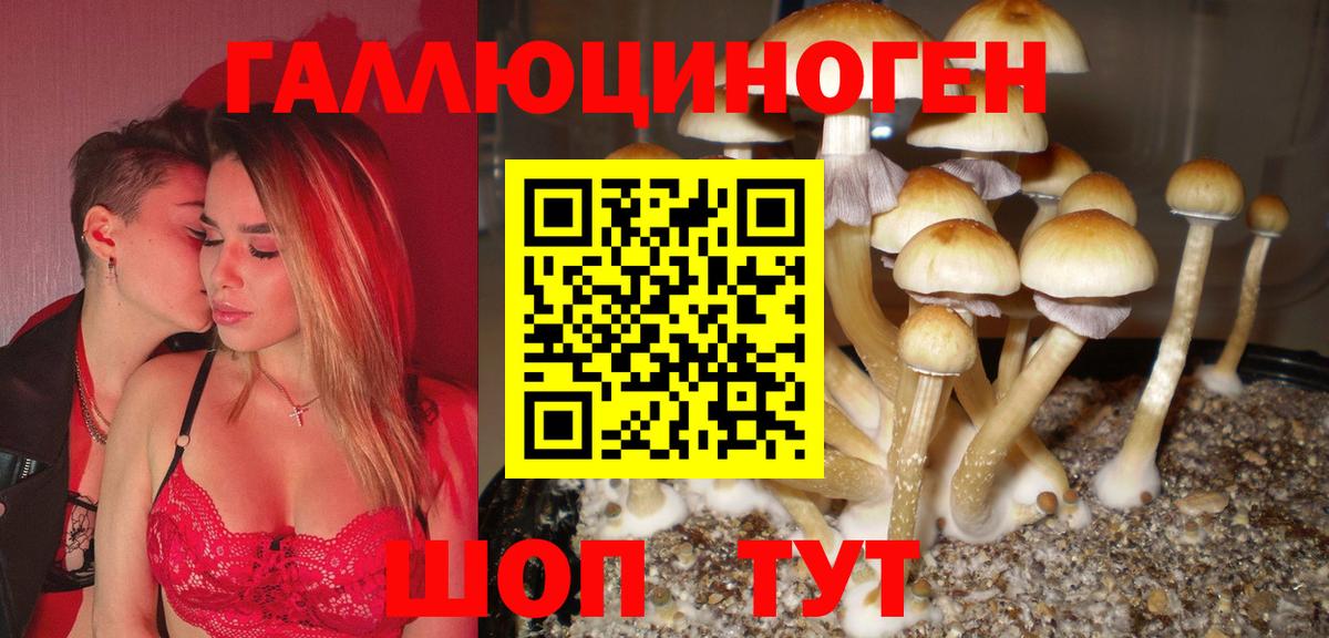 Галлюциногенные грибы ЛСД Красноярск